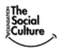 The Social Culture Foundation